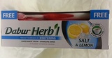 Dabur草本牙膏 鹽/檸檬味(美白)  +牙刷Dabur Herbal ToothPaste For Whitening Salt&Lemon  +Free ToothBrush